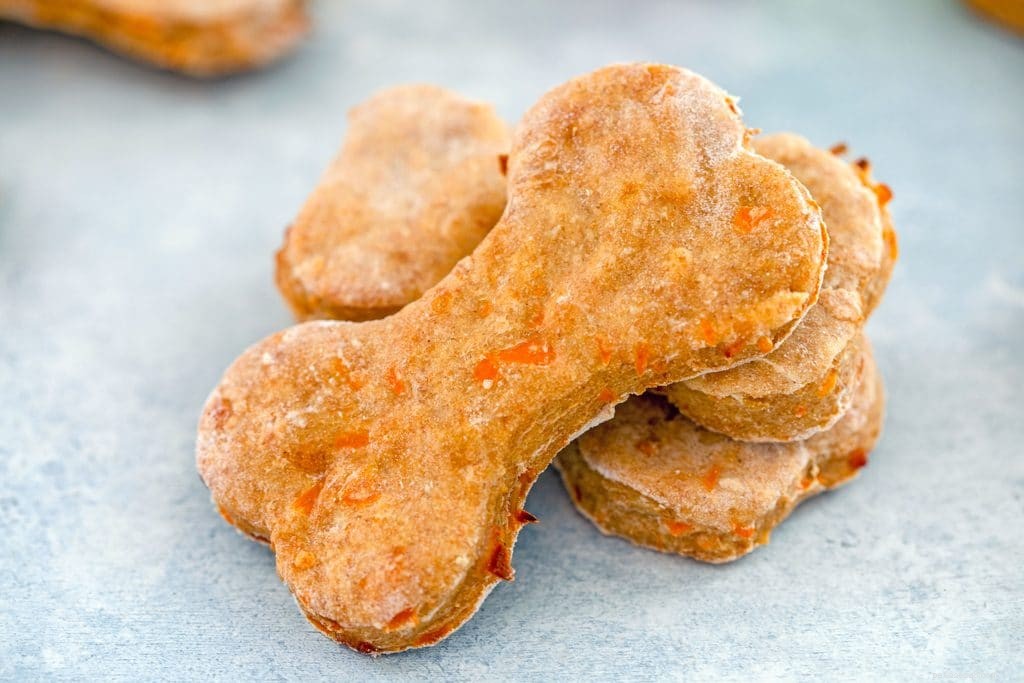 Expert‑Approved Chicken Dog Food & Treat Recipes – 7 Healthy Homemade Options