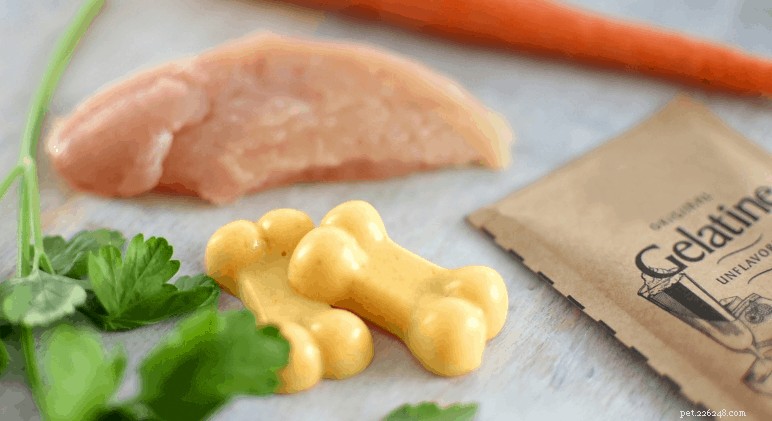 Expert‑Approved Chicken Dog Food & Treat Recipes – 7 Healthy Homemade Options