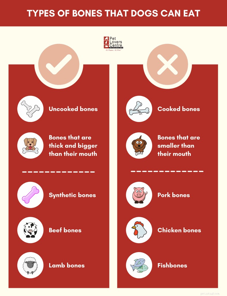 Are Rib Bones Safe for Dogs? Vet-Approved Guidelines & Tips