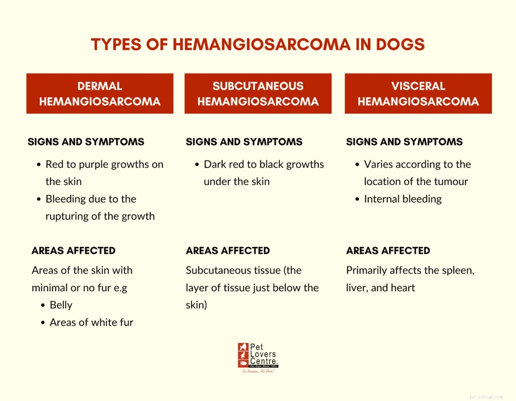 Understanding Canine Hemangiosarcoma: Types, Diagnosis, Treatment, and Vet Insights