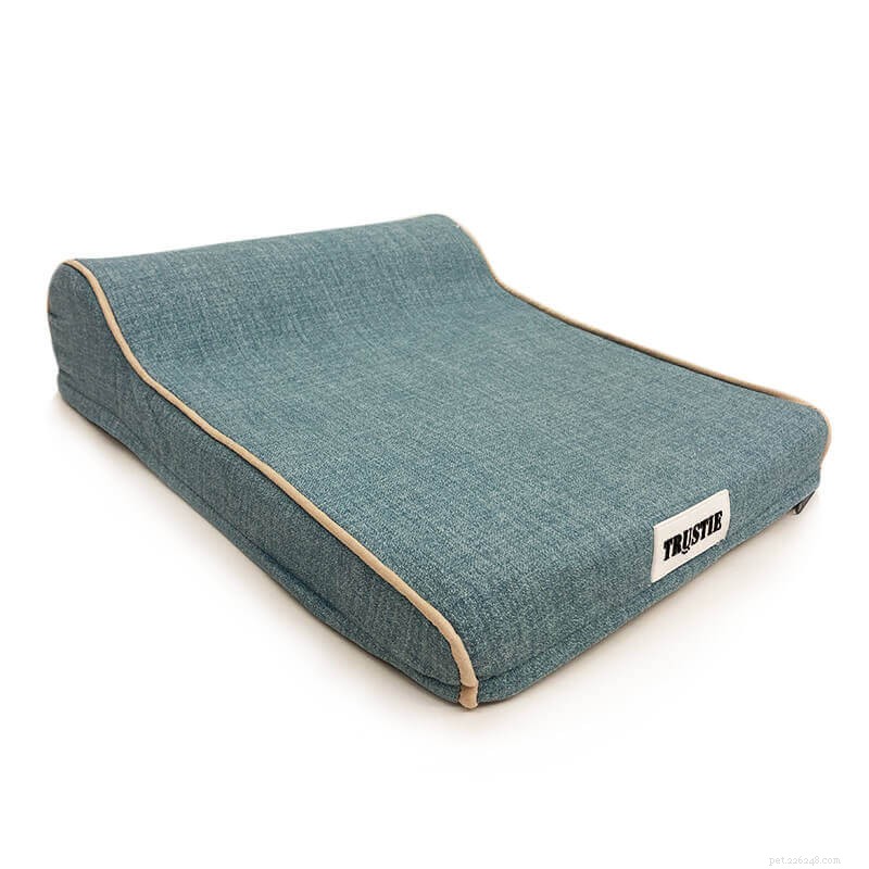 What Singapore’s Pet Owners Say: Key Factors & Top Picks for the Best Dog Bed