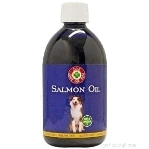 Dry Skin in Cats: Causes, Symptoms, and Expert Treatment Tips