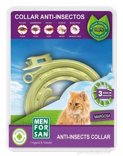 Cat Fleas Explained: Signs, Prevention, and Effective Treatment Strategies