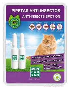 Cat Fleas Explained: Signs, Prevention, and Effective Treatment Strategies