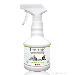 Cat Fleas Explained: Signs, Prevention, and Effective Treatment Strategies