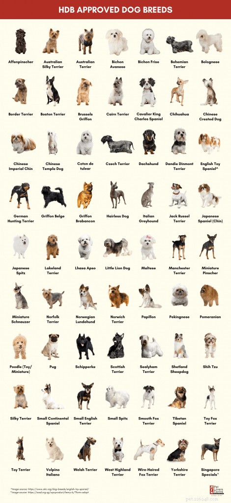 HDB‑Approved Dog Breeds & Updated Size Rules: Project ADORE 2020