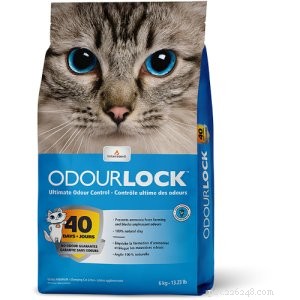 The Ultimate Guide to Choosing Cat Litter in Singapore – Insights from 339 Owners & Top Product Picks