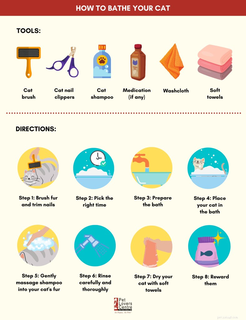 Expert Guide: How to Bathe Your Cat Safely & Stress‑Free