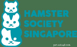 Discover the Best 5 Platforms to Adopt a Hamster in Singapore – Expert Tips & Facts