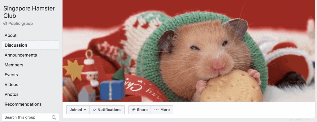 Discover the Best 5 Platforms to Adopt a Hamster in Singapore – Expert Tips & Facts