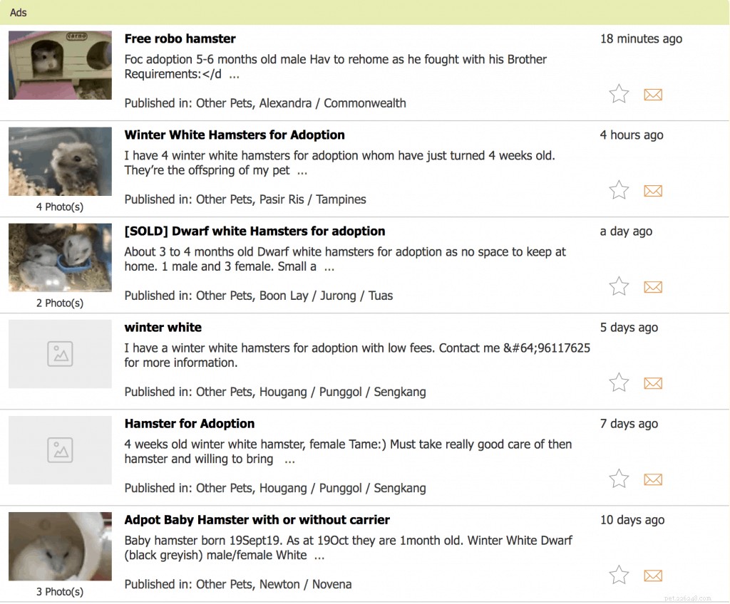 Discover the Best 5 Platforms to Adopt a Hamster in Singapore – Expert Tips & Facts
