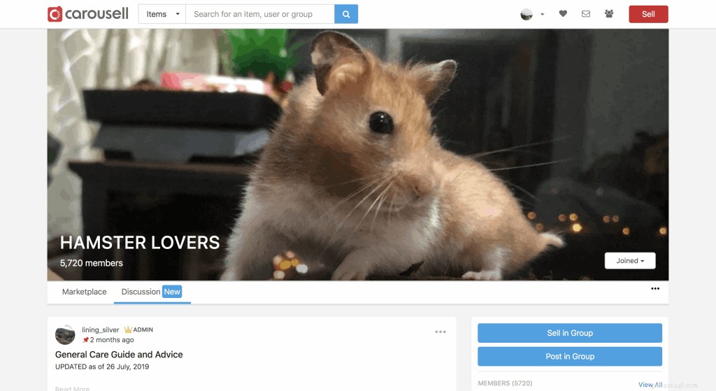 Discover the Best 5 Platforms to Adopt a Hamster in Singapore – Expert Tips & Facts