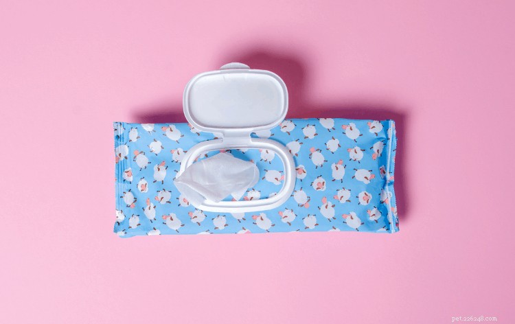 Safe & Simple Guide to Bathing Your Hamster: 5 Proven Methods