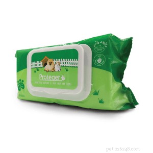 Professional Guide: Bathe Your Guinea Pig Safely with Step‑by‑Step Instructions & Care Tips