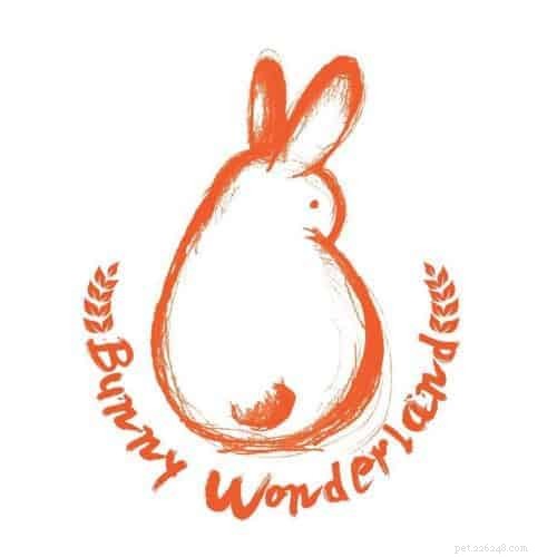 Adopt a Rabbit in Singapore: 6 Trusted Shelters & Essential Tips