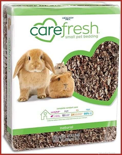 Adopt a Rabbit in Singapore: 6 Trusted Shelters & Essential Tips