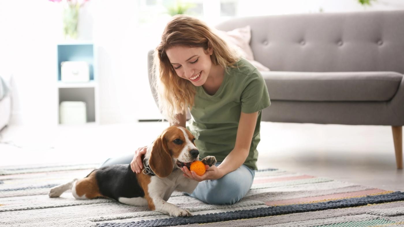 Why Dogs Bite: A Comprehensive Guide to Prevention and Training