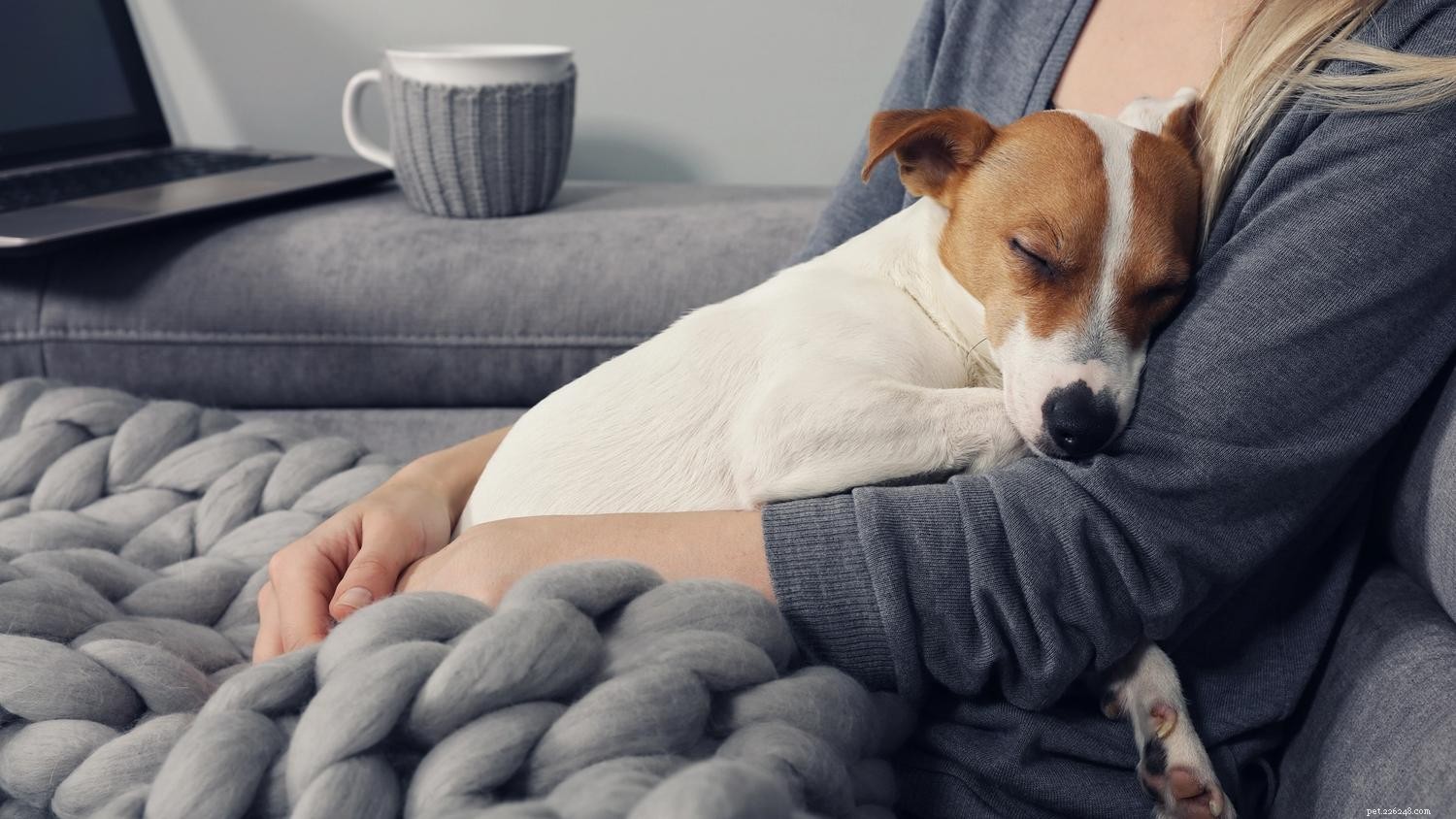 Show Your Dog You Love Them: 7 Proven Ways to Strengthen Your Bond