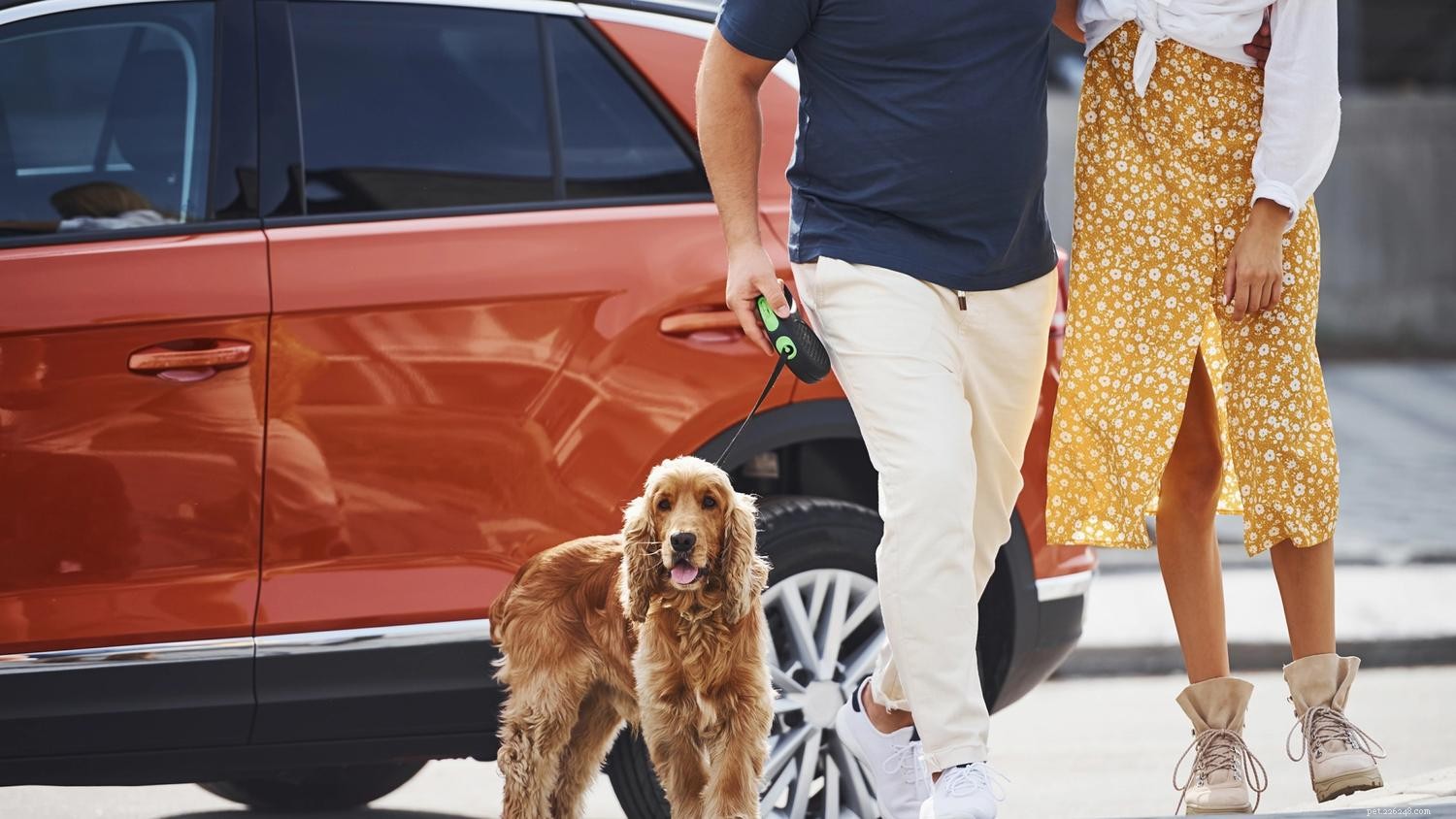 Proven Ways to Relieve Your Dog s Car Anxiety