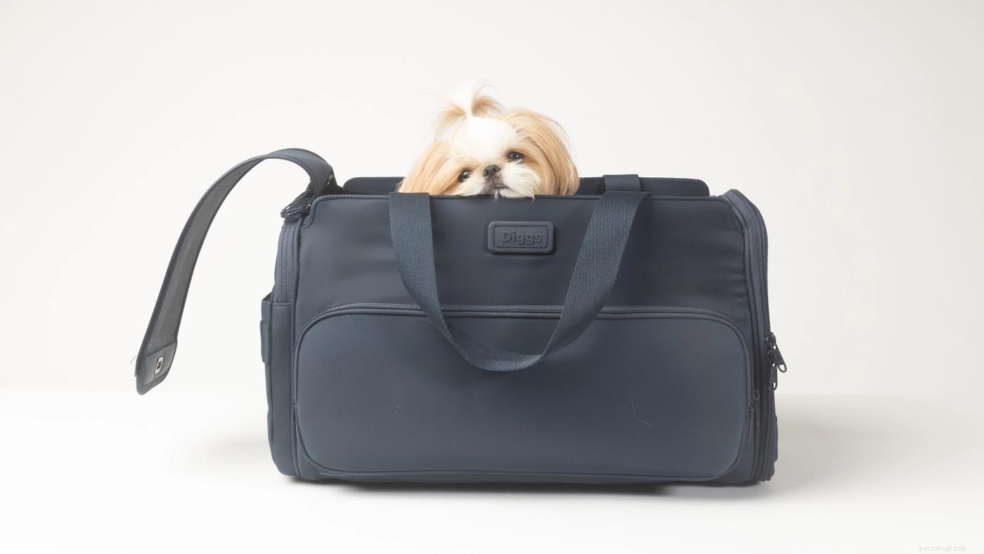 Proven Ways to Relieve Your Dog s Car Anxiety