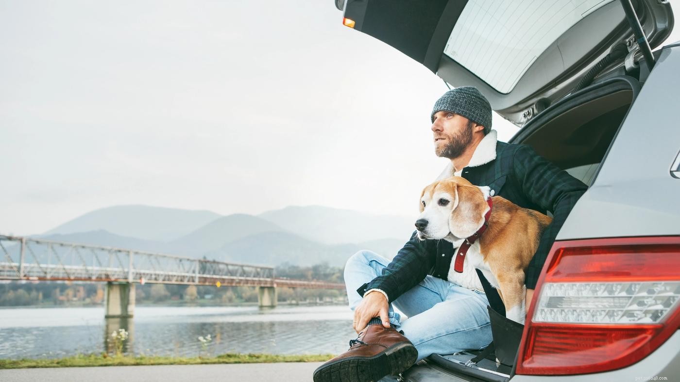Proven Ways to Relieve Your Dog s Car Anxiety