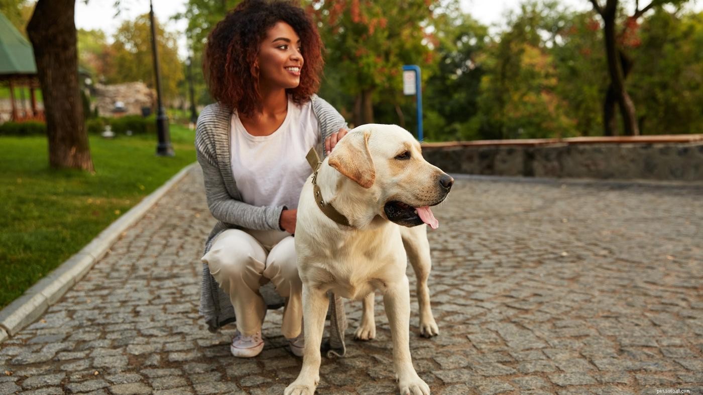 How Dogs Can Embrace New Year’s Resolutions for a Happier, Healthier Life