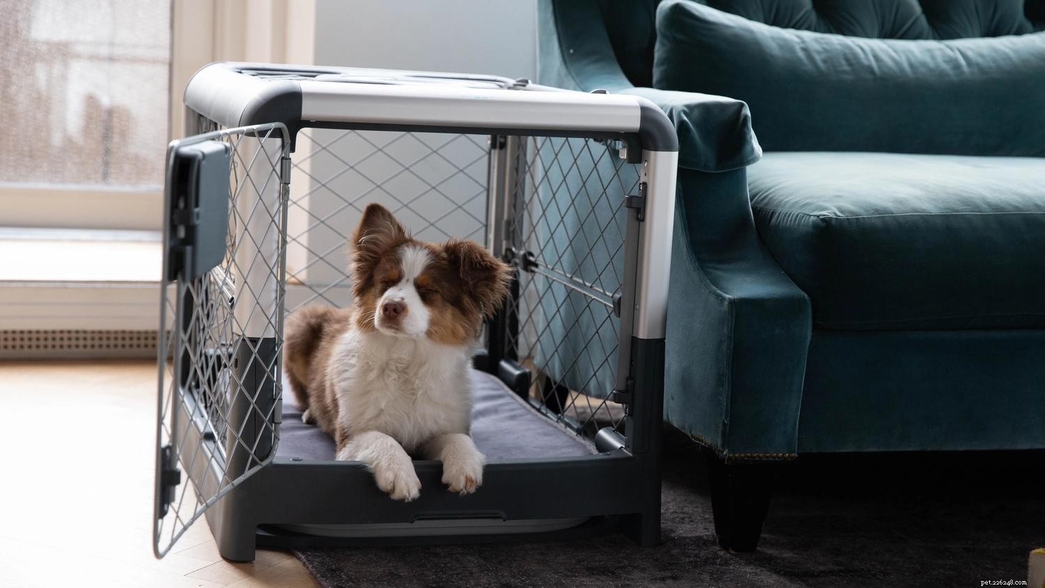 Puppy Crate Training Schedule: A Proven Step‑by‑Step Guide