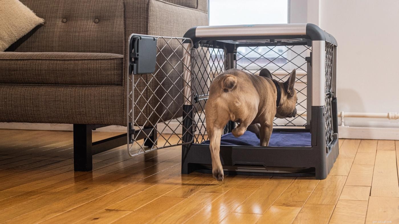 Puppy Crate Training Schedule: A Proven Step‑by‑Step Guide