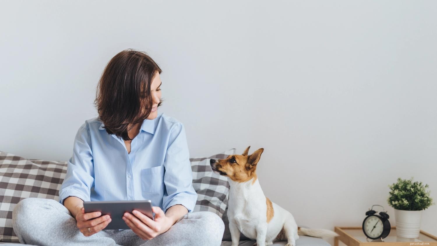 7 Key Signals Dogs Use to Ask for Help