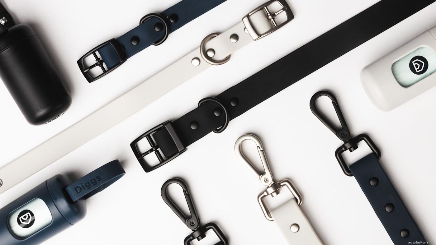 Mastering Leash Techniques: The Essential Guide to Walking Your Dog