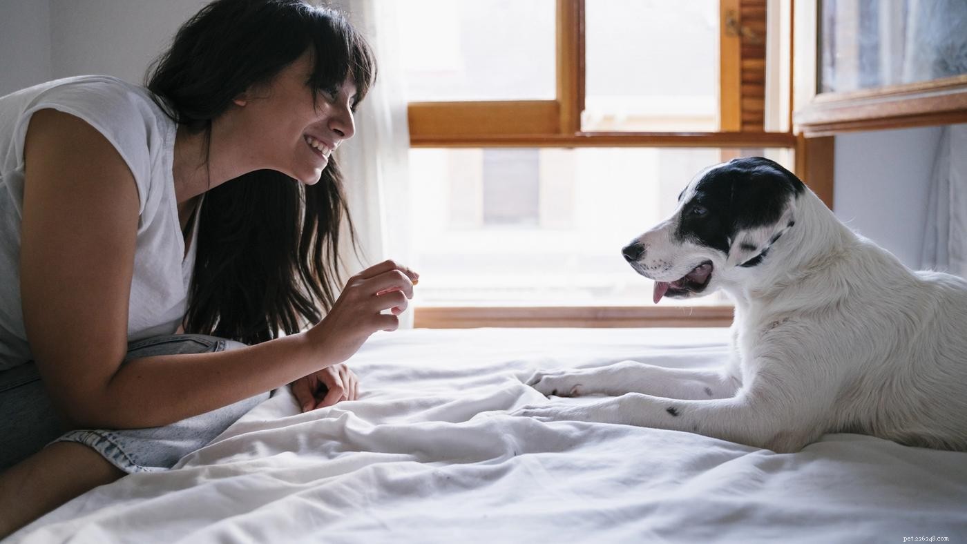 Managing Storm Anxiety in Dogs: Expert Tips to Keep Your Pet Calm