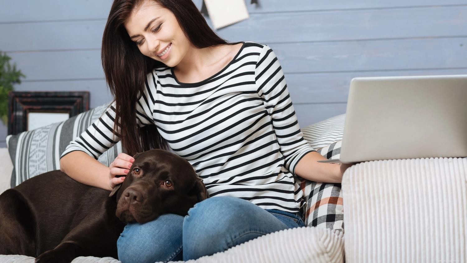 Efficient Crate Training for Puppies While You’re Working Full‑Time