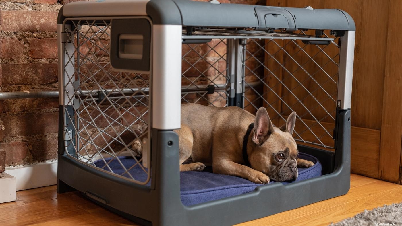 Efficient Crate Training for Puppies While You’re Working Full‑Time