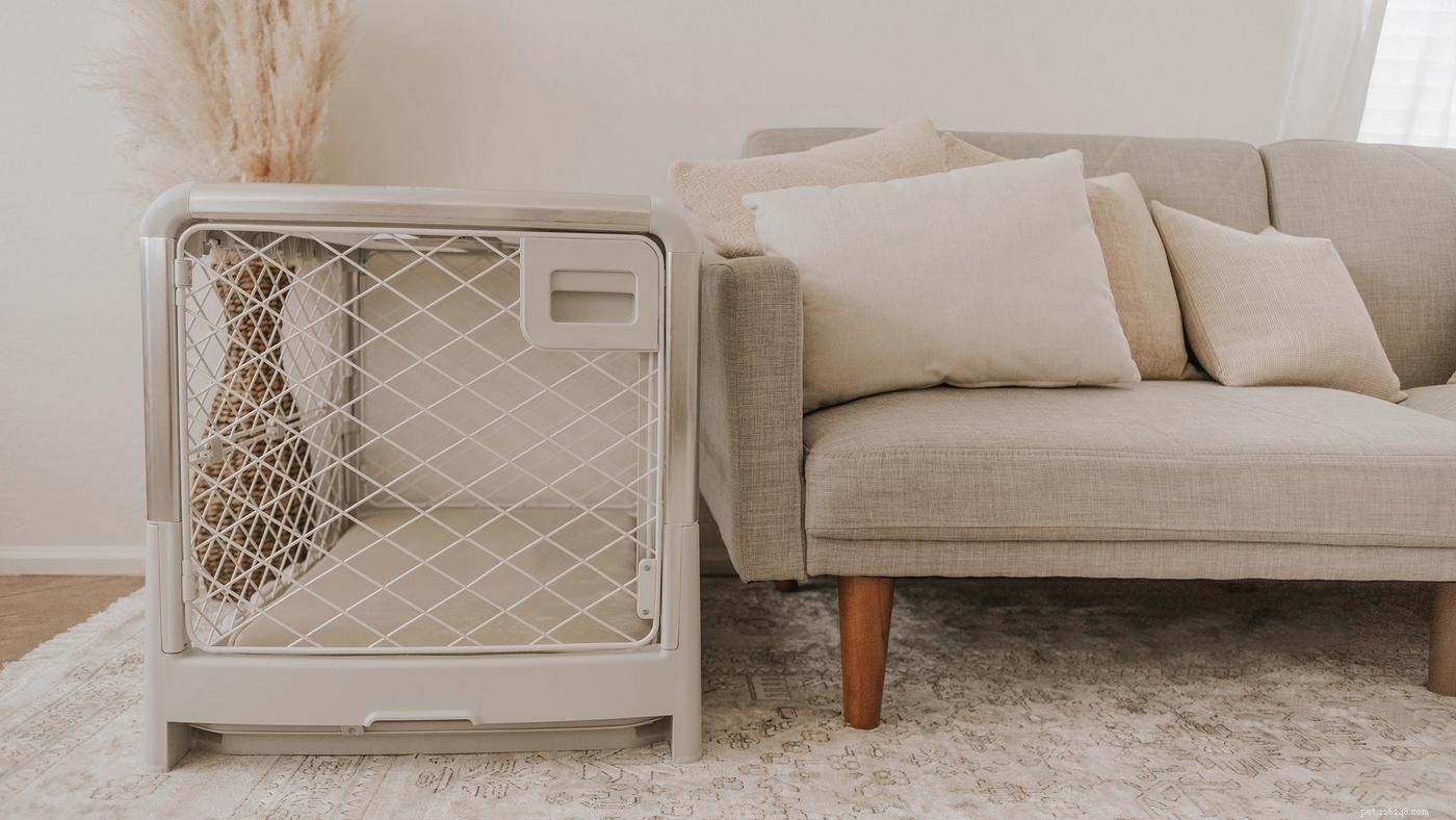 10 Expert Steps for Successful Dog Crate Training