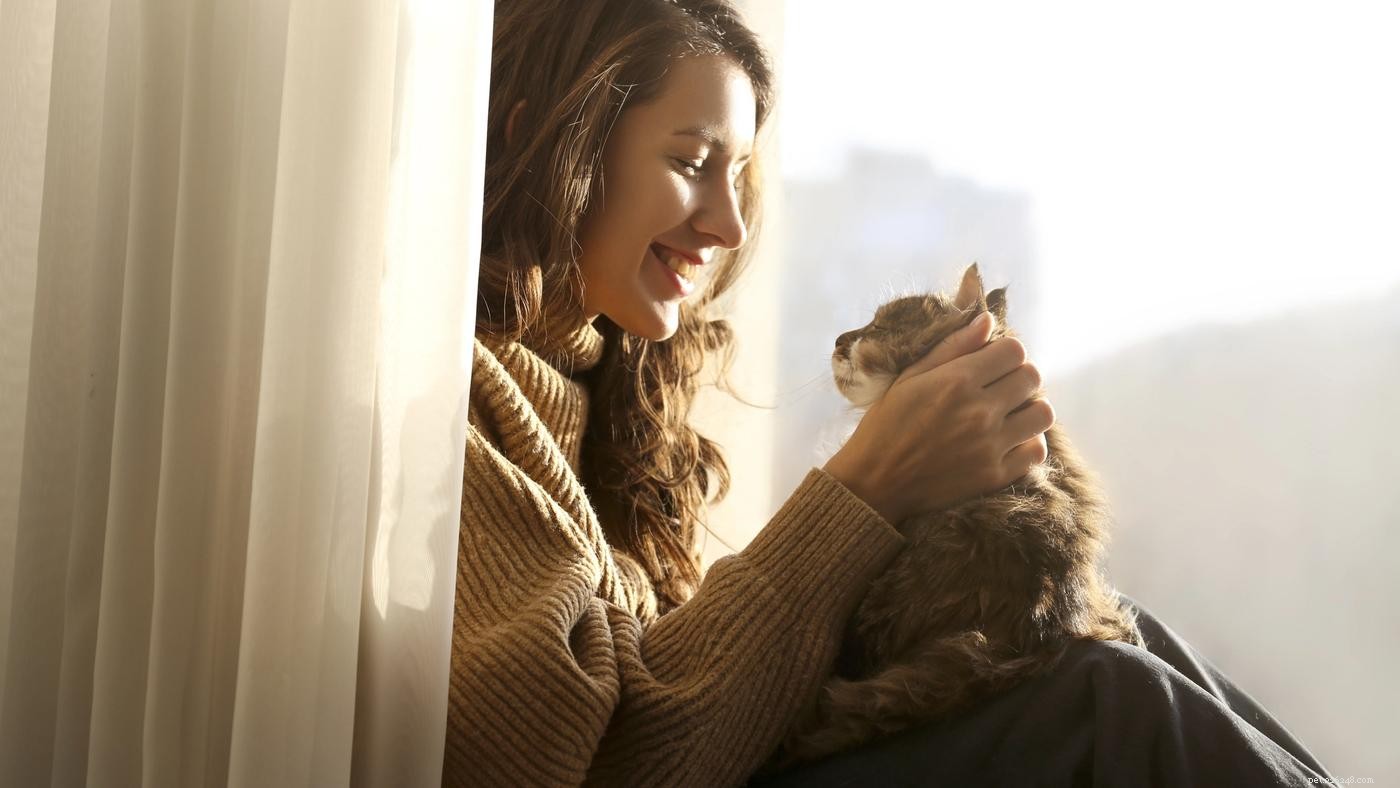 Traveling with Pets: Expert Tips from the Diggs Team