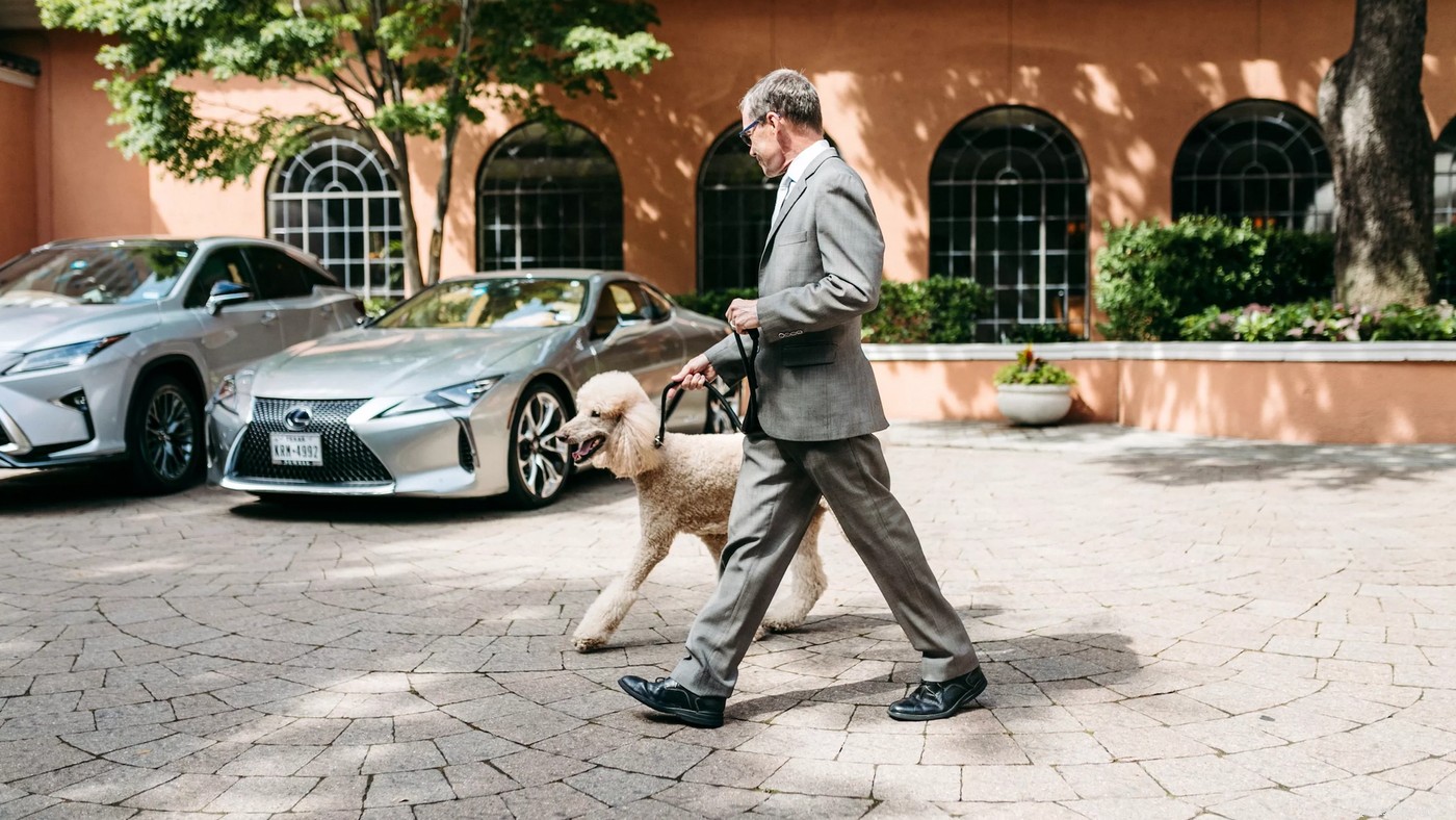 The Diggs Guide: Top Dog-Friendly Hotels, Restaurants & More