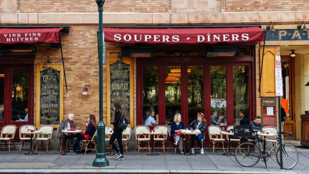 The Diggs Guide: Top Dog-Friendly Hotels, Restaurants & More