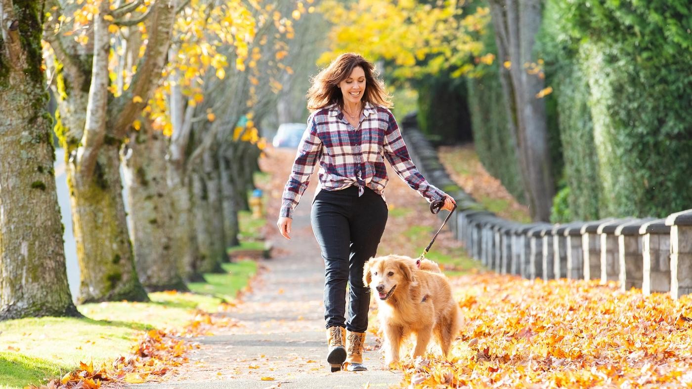 5 Proven Ways to Keep Your Dog Calm this Halloween