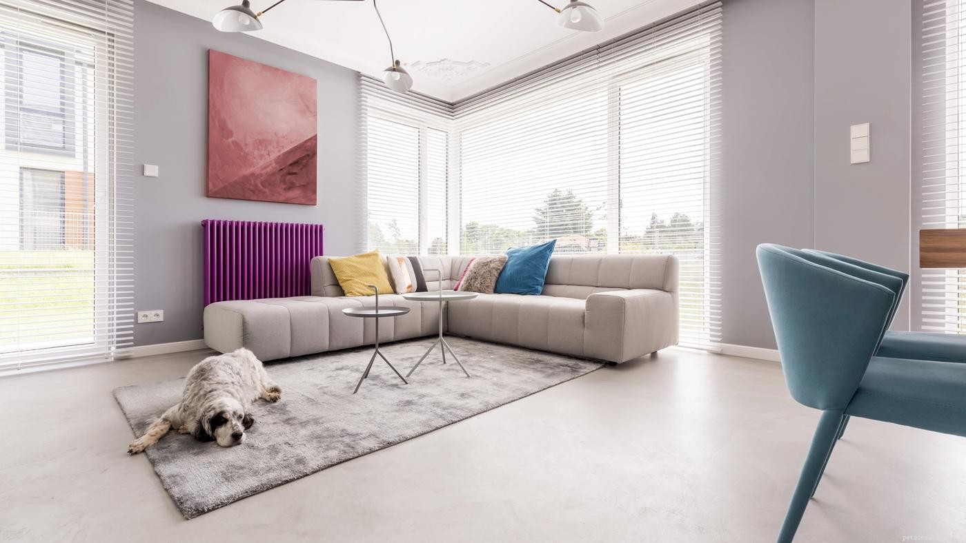Key Considerations for Adopting a Large‑Breed Dog