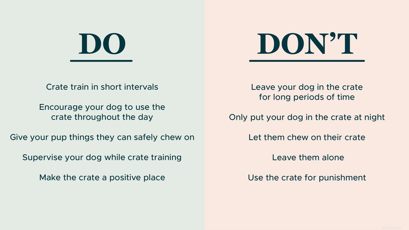 Master Crate Training: 5 Essential Dos & Don’ts for Your Dog