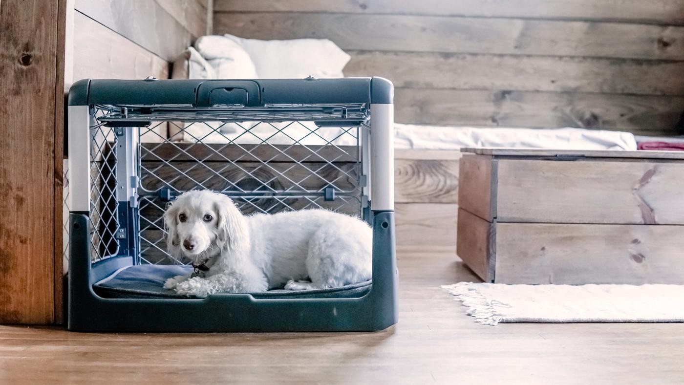 Master Crate Training: 5 Essential Dos & Don’ts for Your Dog