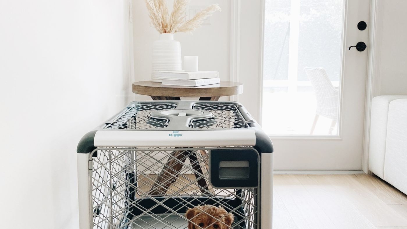 Master Crate Training: 5 Essential Dos & Don’ts for Your Dog