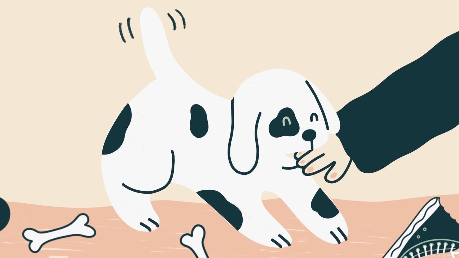 Effective Strategies for Managing Puppy Biting, Chewing, and Nipping