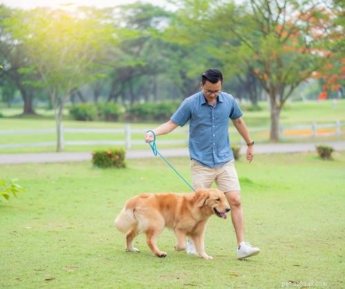 6 Expert Strategies for Sustainable Pet Parenting