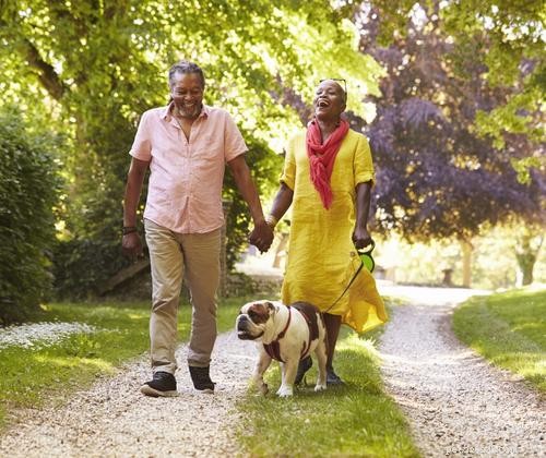 6 Expert Strategies for Sustainable Pet Parenting