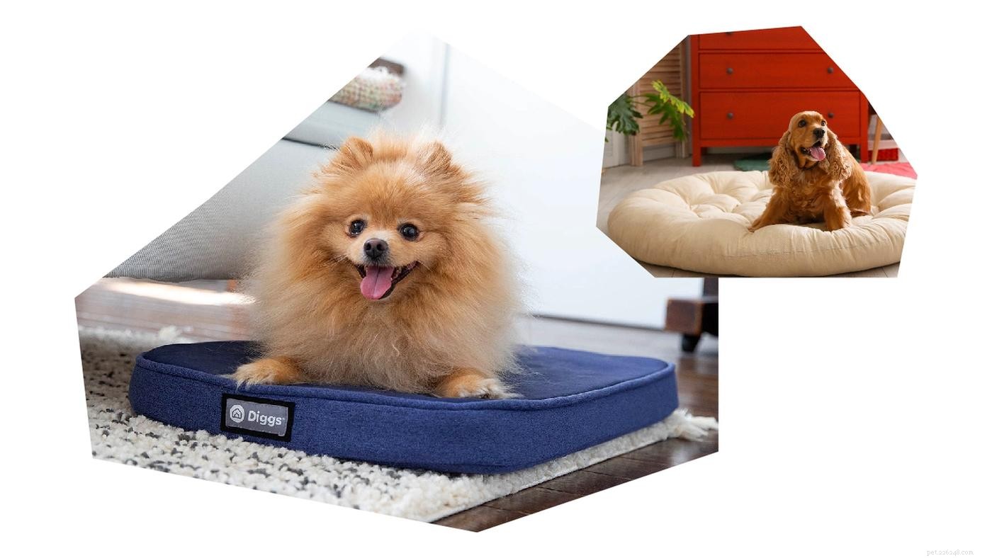 The Complete Puppy Starter Guide: Essential Gear & Checklist