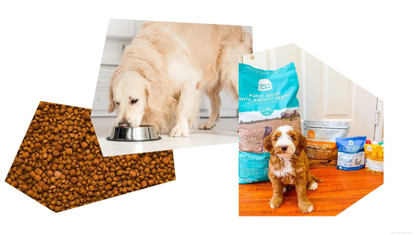 The Complete Puppy Starter Guide: Essential Gear & Checklist