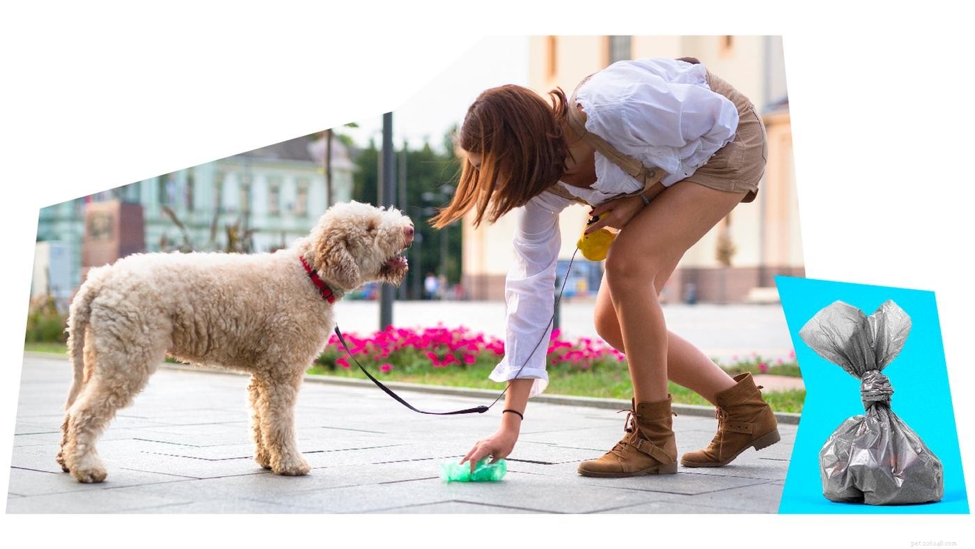 The Complete Puppy Starter Guide: Essential Gear & Checklist
