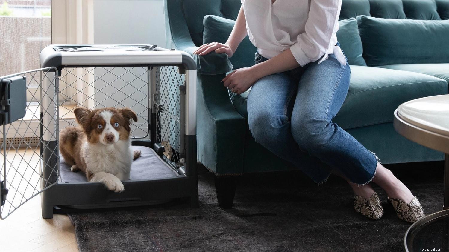 Crate Training Made Easy: 5 Expert Tips for New Puppy Owners