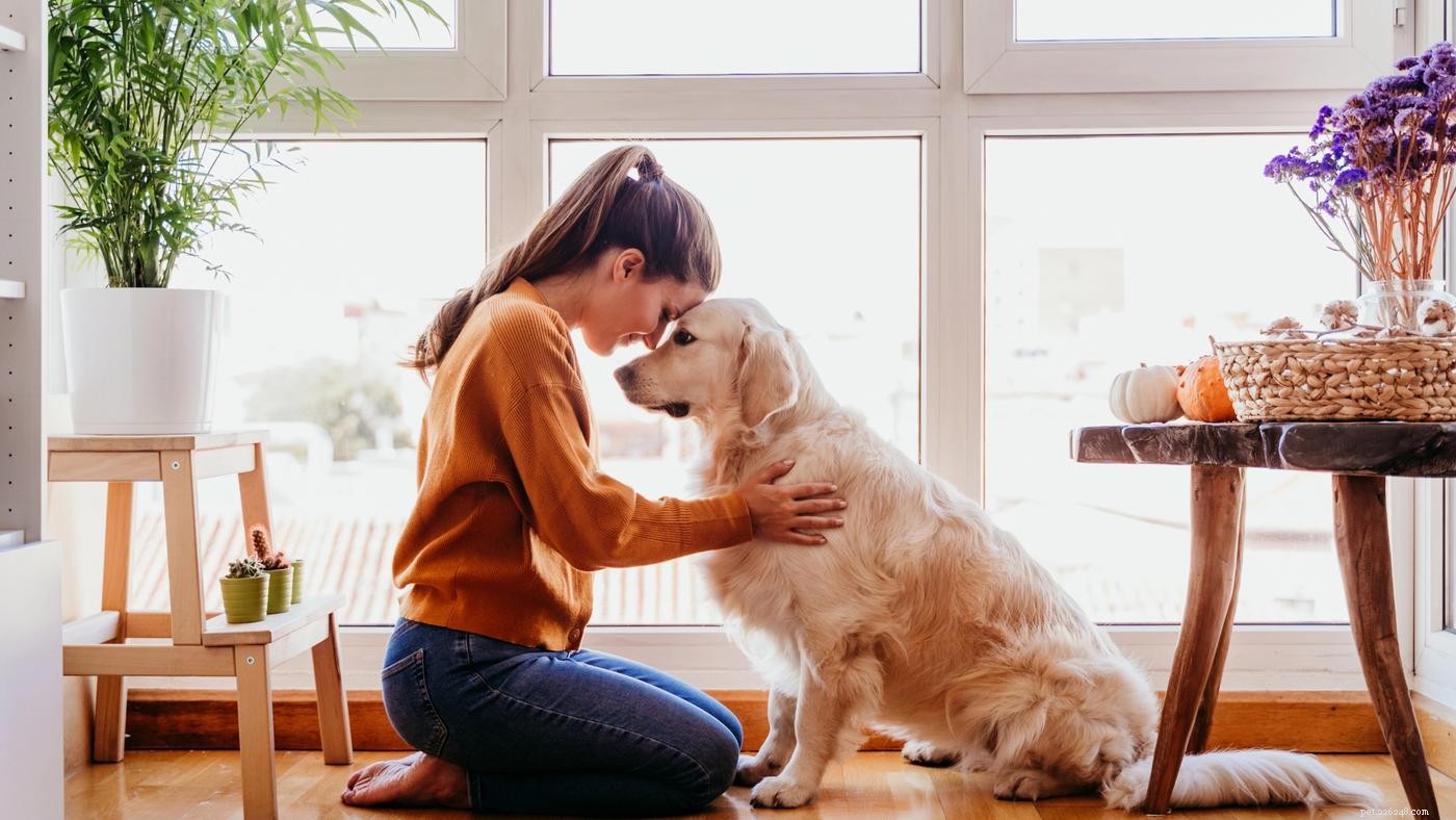 Crate Training Made Easy: 5 Expert Tips for New Puppy Owners